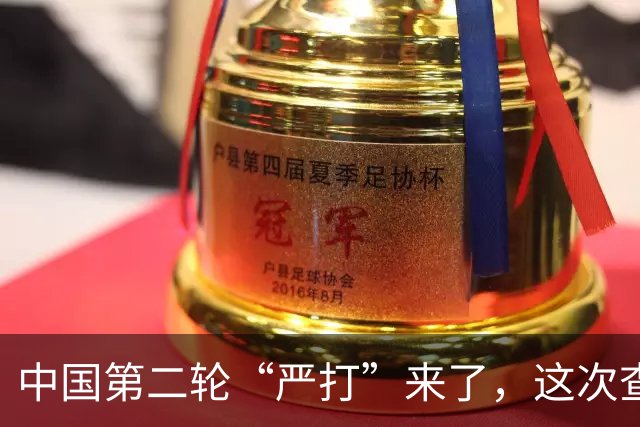 中国第二轮“严打”来了，这次查的更严，一旦查到谁都跑不了！