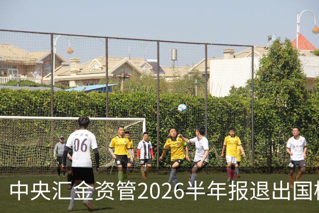 中央汇金资管2026半年报退出国检集团前十大股东名单