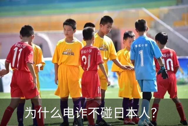 为什么电诈不碰日本人？