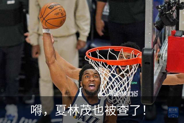 嘚，夏林茂也被查了！