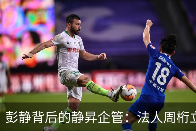 彭静背后的静昇企管：法人周桁立，只是一个 “前台傀儡”？
