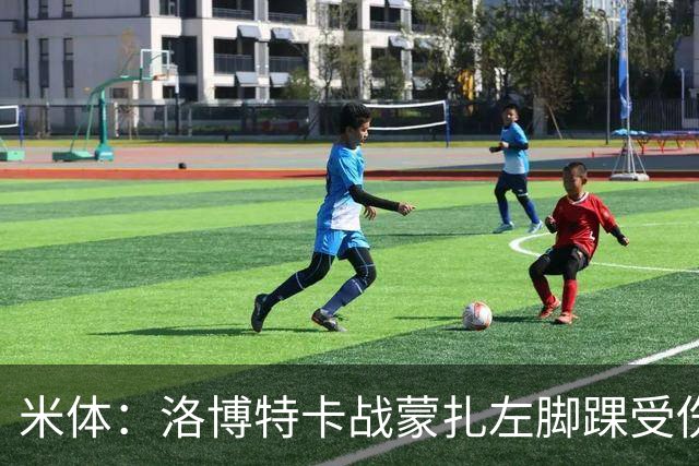 米体：洛博特卡战蒙扎左脚踝受伤伤退，那不勒斯对此感到担忧