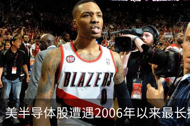 美半导体股遭遇2006年以来最长抛售潮，做空者却获利320亿美元