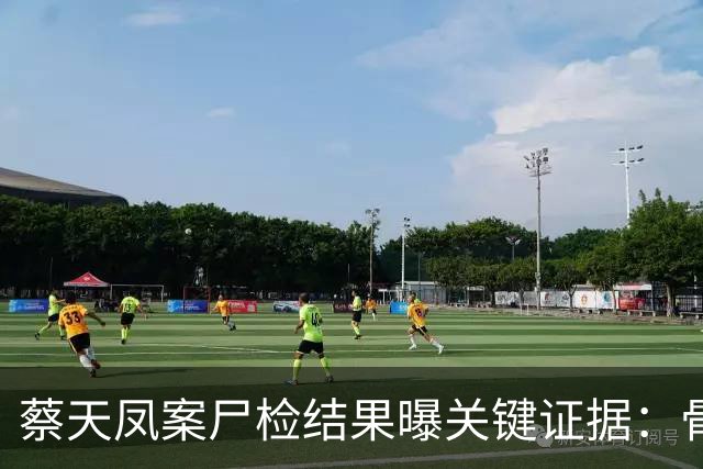 蔡天凤案尸检结果曝关键证据：骨面残留少量肉，锯痕比对指向电锯，运尸细节曝光