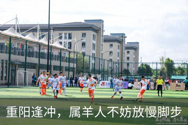 重阳逢冲，属羊人不妨放慢脚步