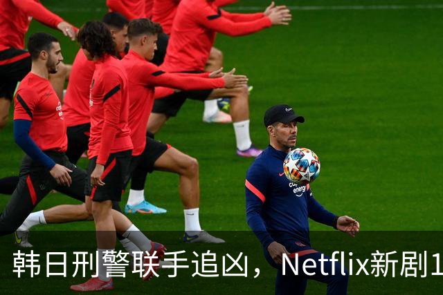 韩日刑警联手追凶，Netflix新剧11月20日上线